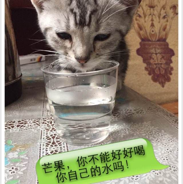 办个工程造价咨询企业资质证书多少钱